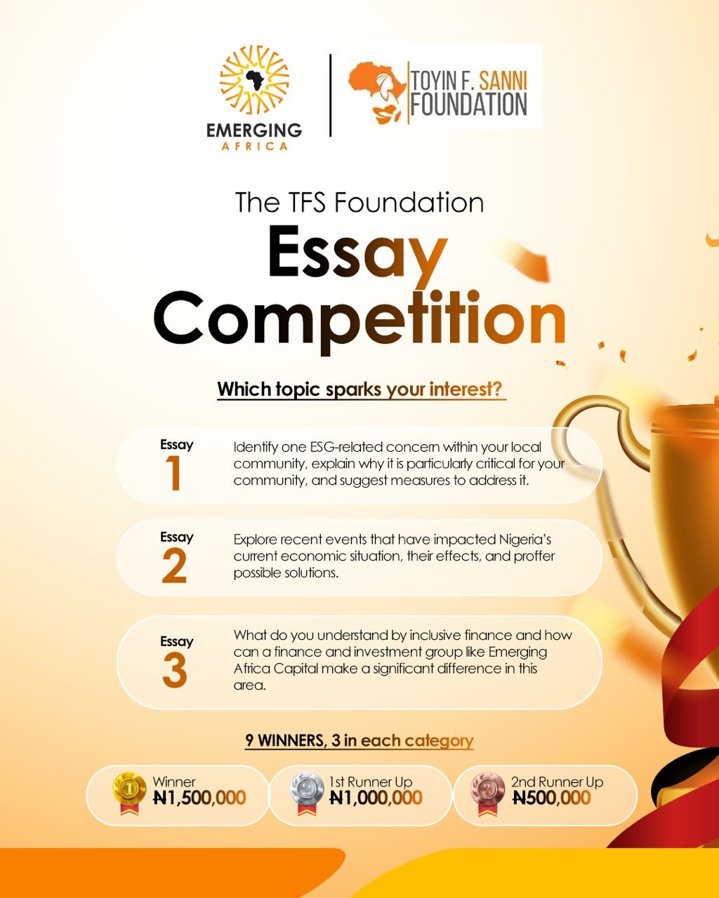 Foundation Essay Competition